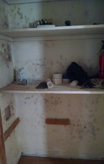 Mold On Drywall Can Moldy Be Cleaned - Mold On Walls In Closet