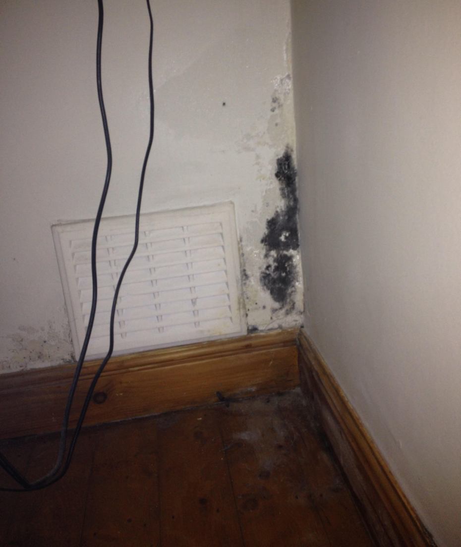 Mold on wall and floor