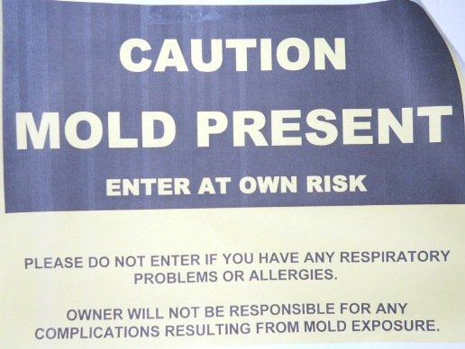 Mold Warning Sign