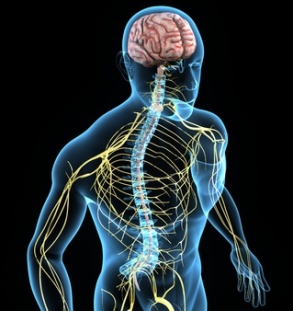 mold neurological symptoms