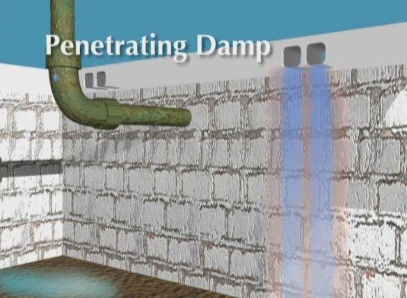 Penetrating Damp in Crawlspace
