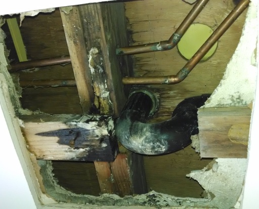 mold from leaking pipe