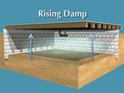 Rising Damp in Crawlspace