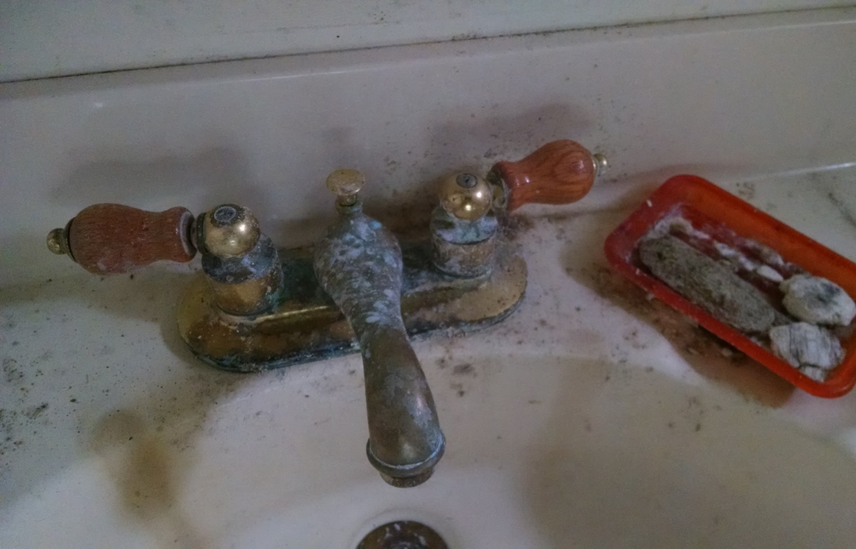 Moldy sink