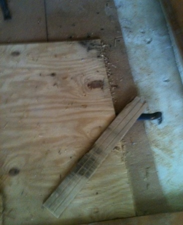 subfloor mold