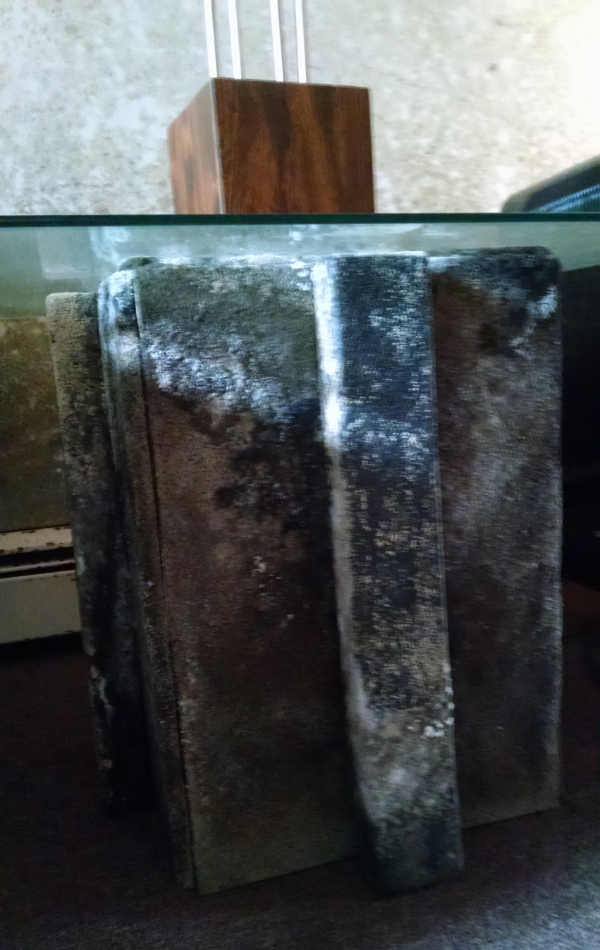 Table with mold