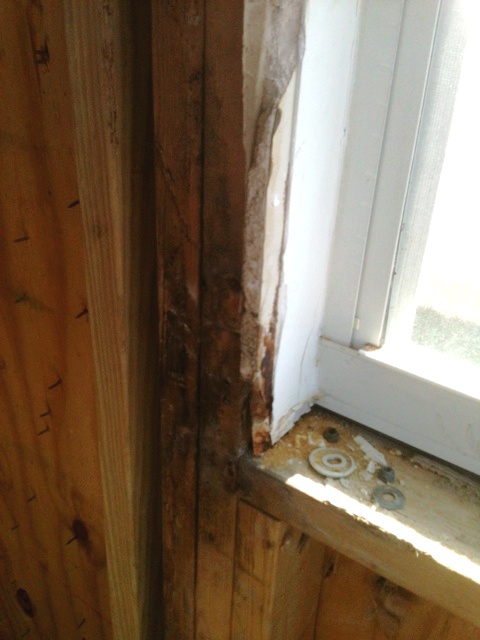 Window leak mold